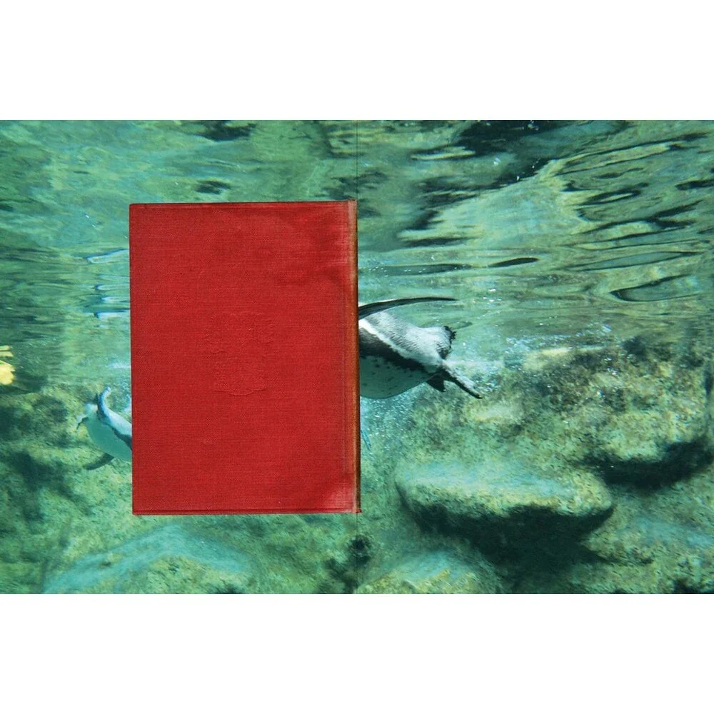 Caruso St John & Marcus Taylor - Island Book